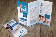Brochure MGIP CIO